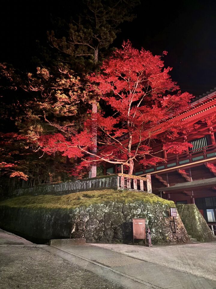 画像に alt 属性が指定されていません。ファイル名: IMG_4508-720x960.jpg